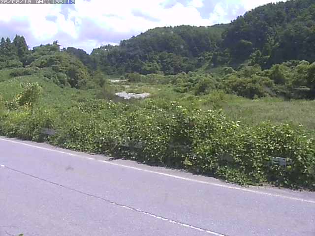 取得できませんでした