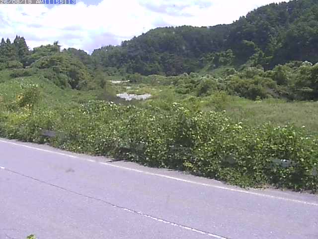 取得できませんでした