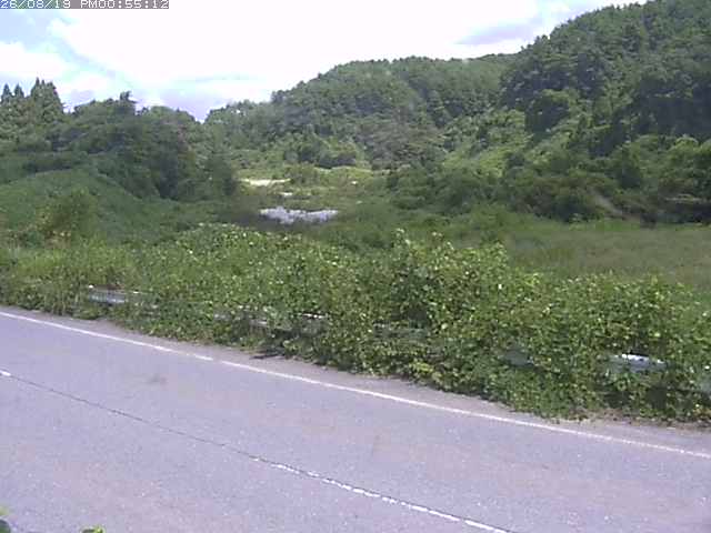 取得できませんでした