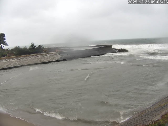 取得できませんでした