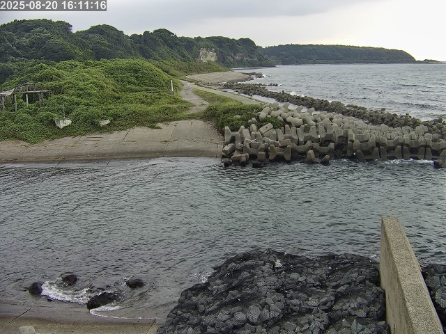 取得できませんでした
