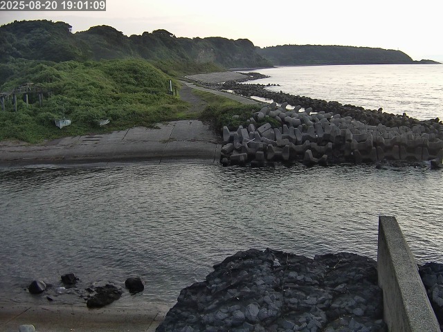 取得できませんでした