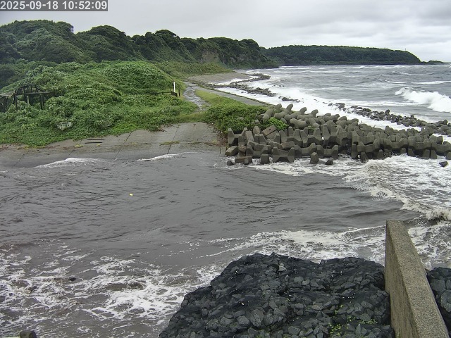 取得できませんでした