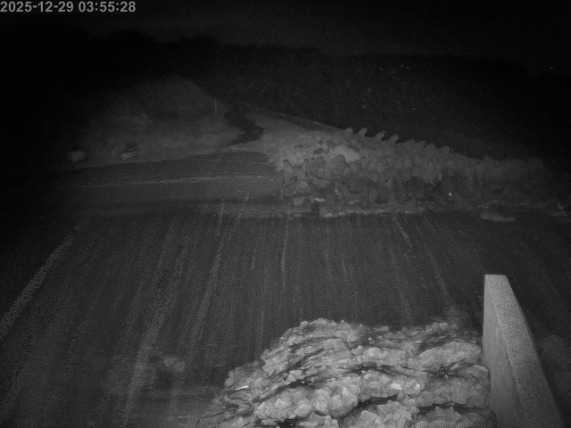 取得できませんでした