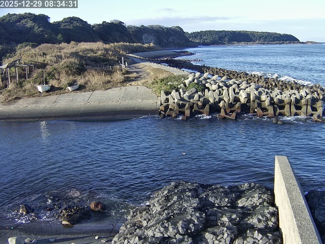 取得できませんでした