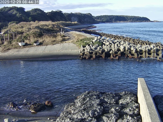 取得できませんでした