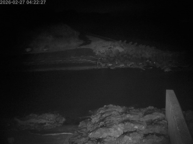 取得できませんでした