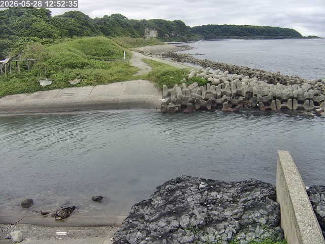 取得できませんでした