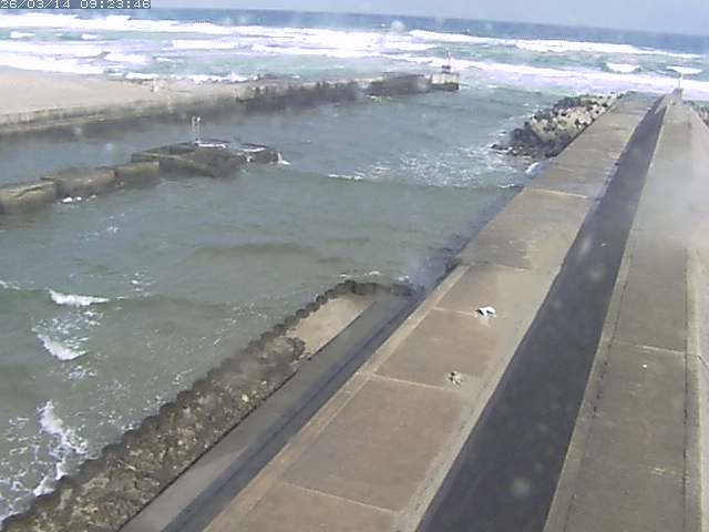 取得できませんでした