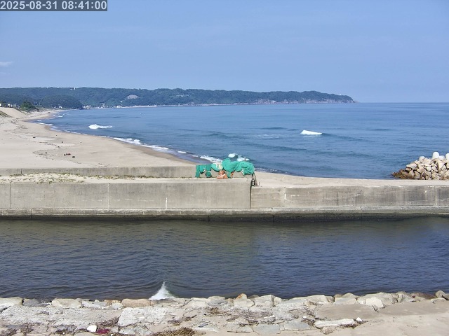 取得できませんでした