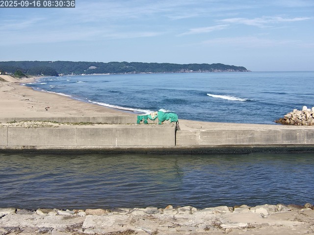 取得できませんでした