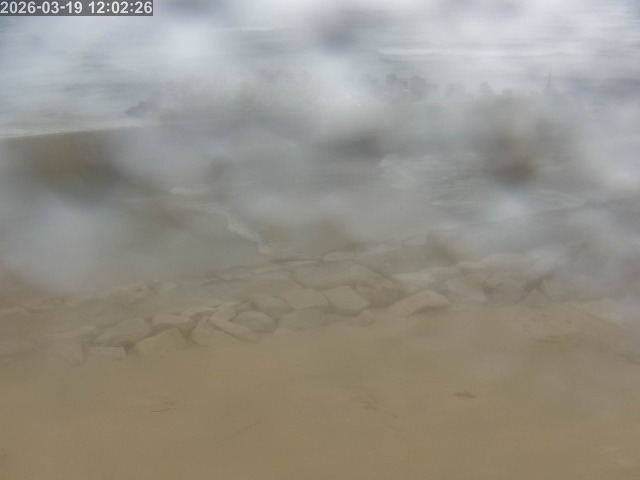 取得できませんでした