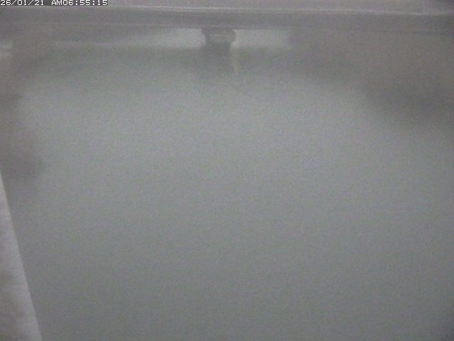 取得できませんでした