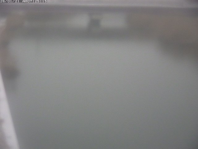 取得できませんでした