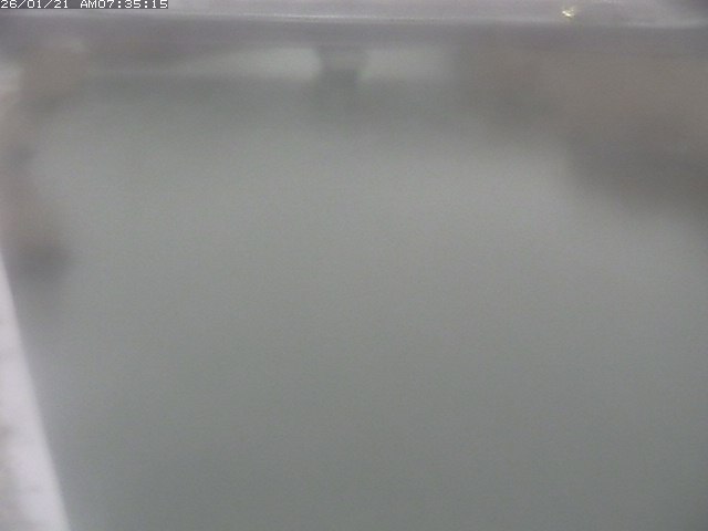 取得できませんでした