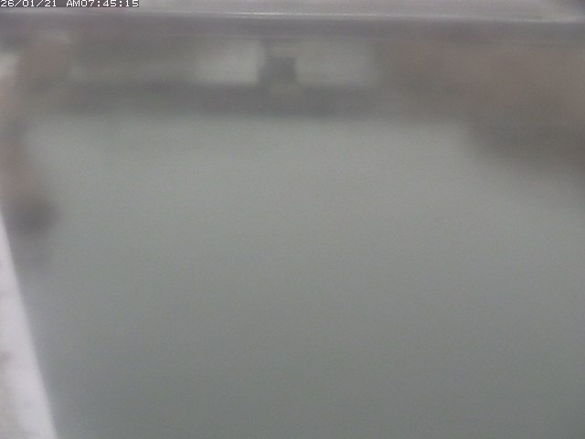 取得できませんでした