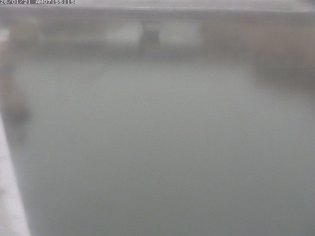 取得できませんでした