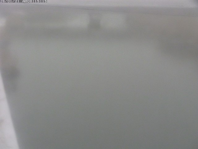 取得できませんでした