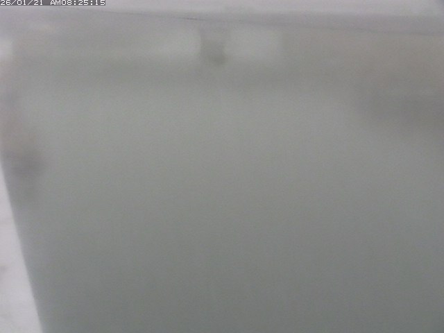 取得できませんでした