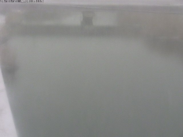 取得できませんでした