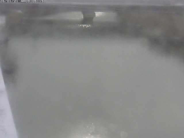 取得できませんでした