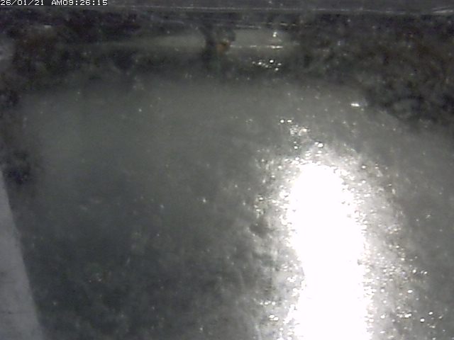 取得できませんでした