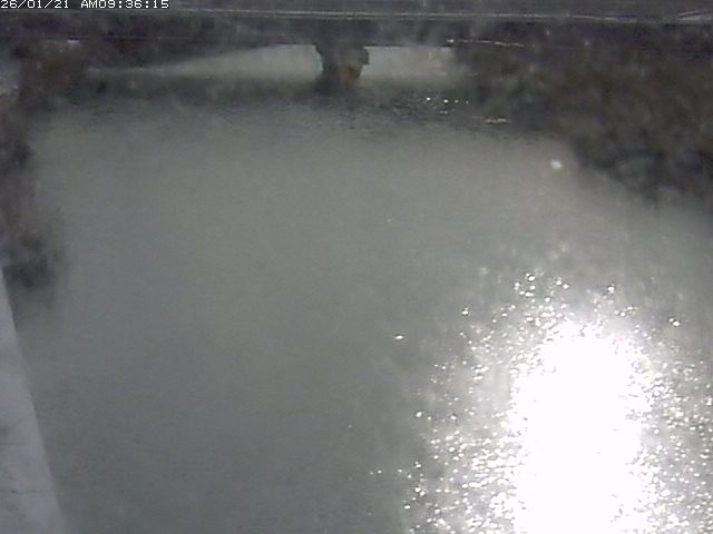 取得できませんでした