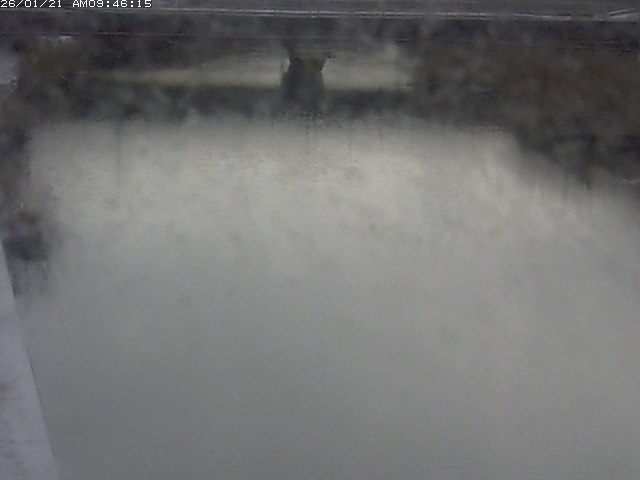 取得できませんでした