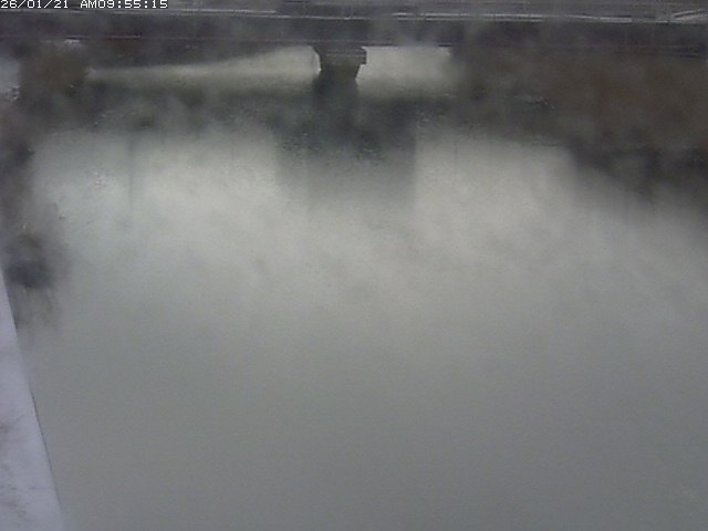 取得できませんでした