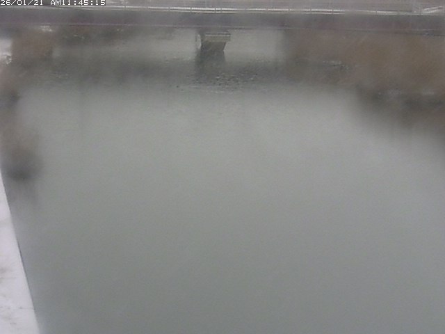 取得できませんでした