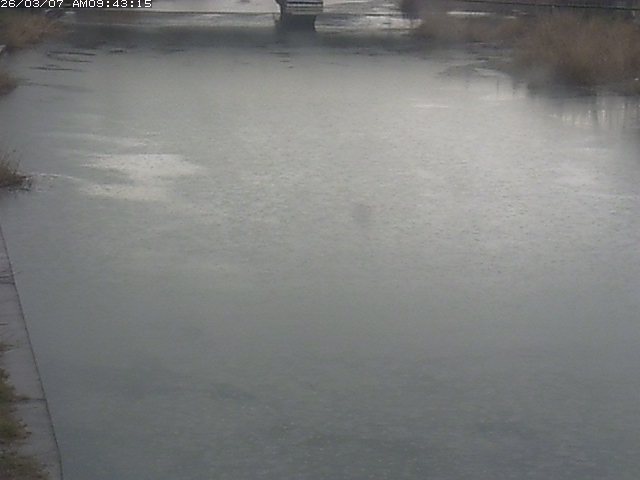 取得できませんでした