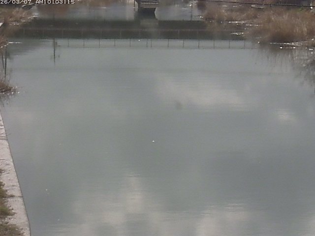 取得できませんでした