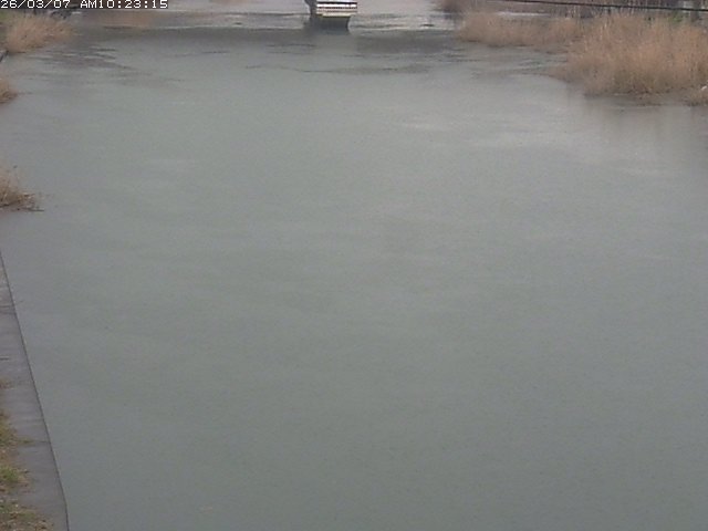 取得できませんでした