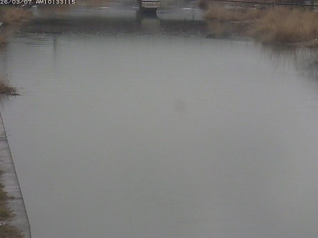 取得できませんでした