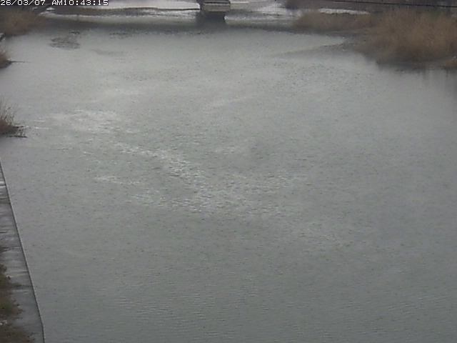 取得できませんでした