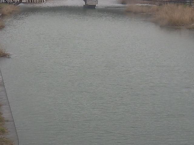 取得できませんでした