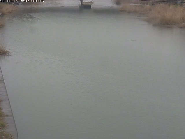 取得できませんでした