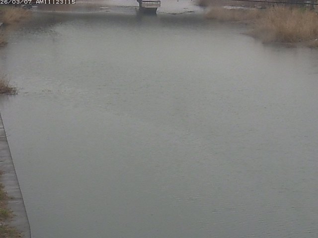 取得できませんでした