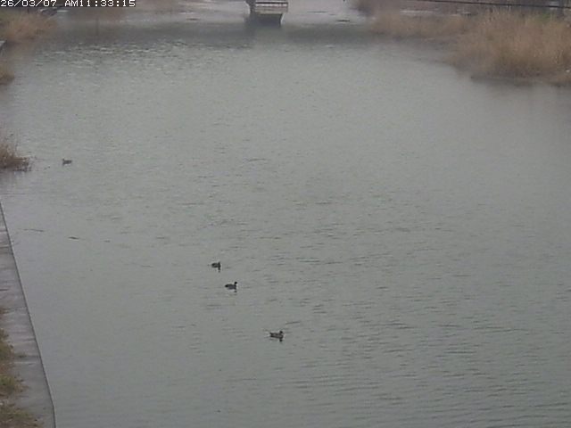 取得できませんでした