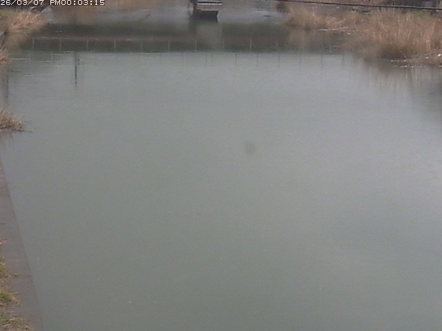 取得できませんでした