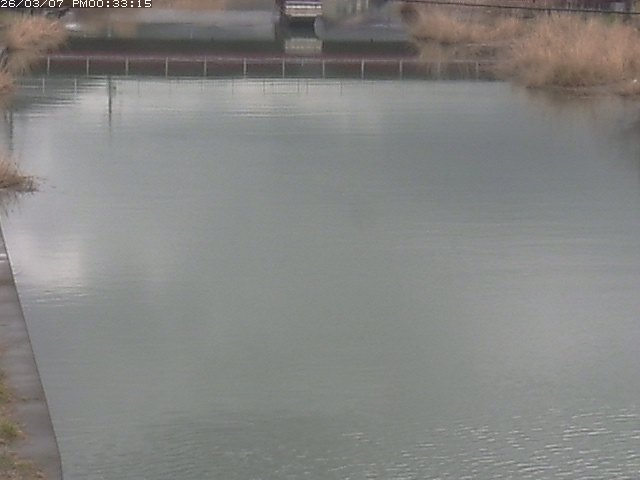 取得できませんでした