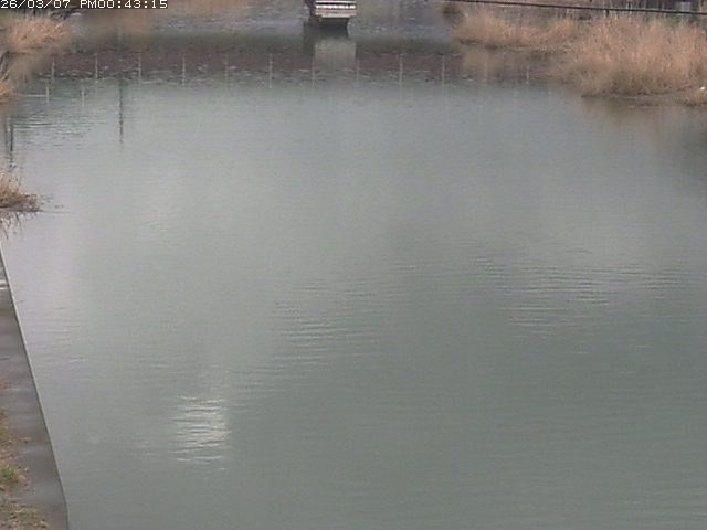 取得できませんでした