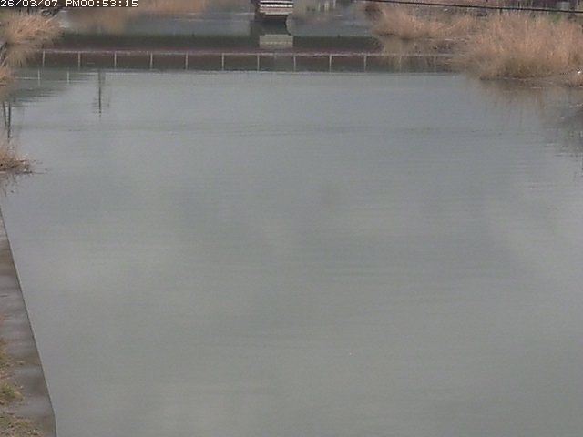 取得できませんでした