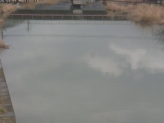 取得できませんでした