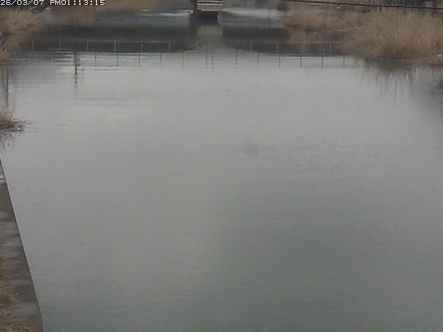 取得できませんでした