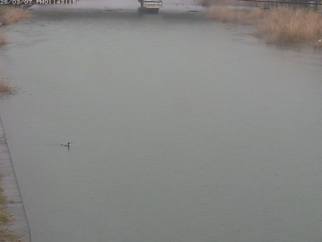 取得できませんでした