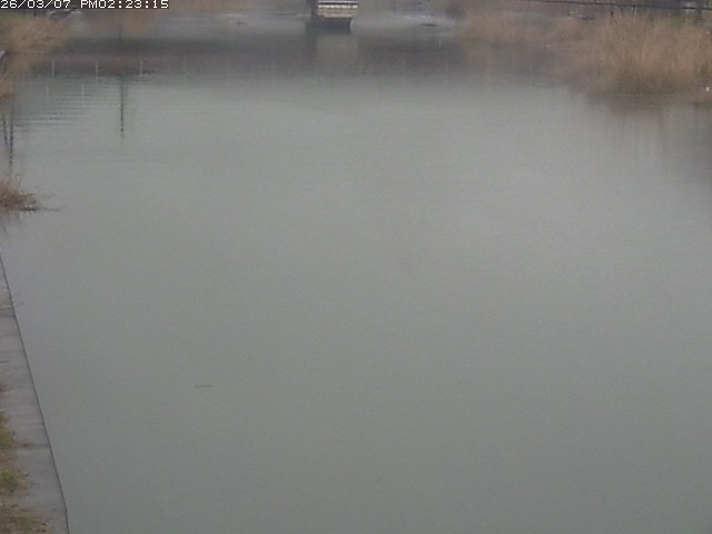 取得できませんでした