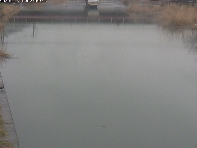 取得できませんでした