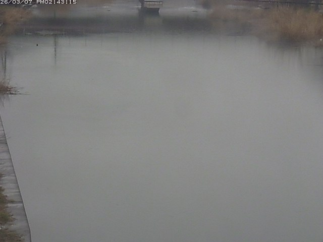 取得できませんでした