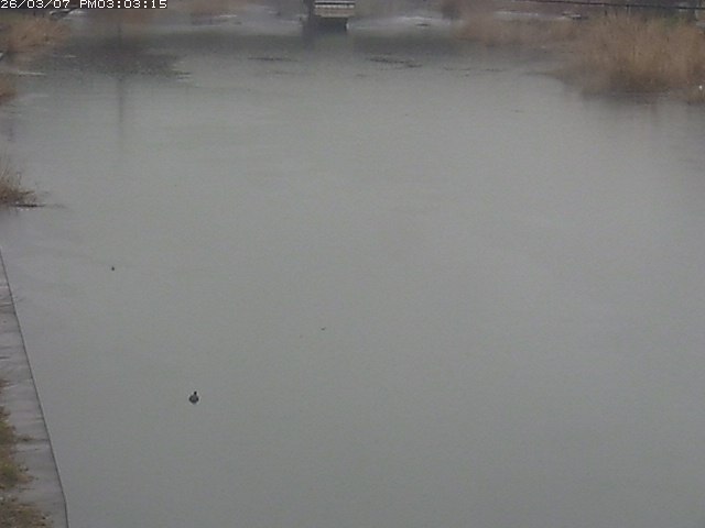 取得できませんでした